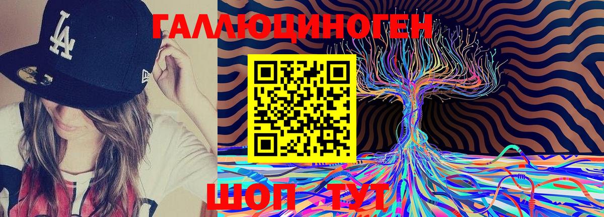 Крымск  Галлюциногенные грибы GOLDEN TEACHER  купить наркотики сайты  Галлюциногенные грибы Magic Shrooms  Вход с VPN 
